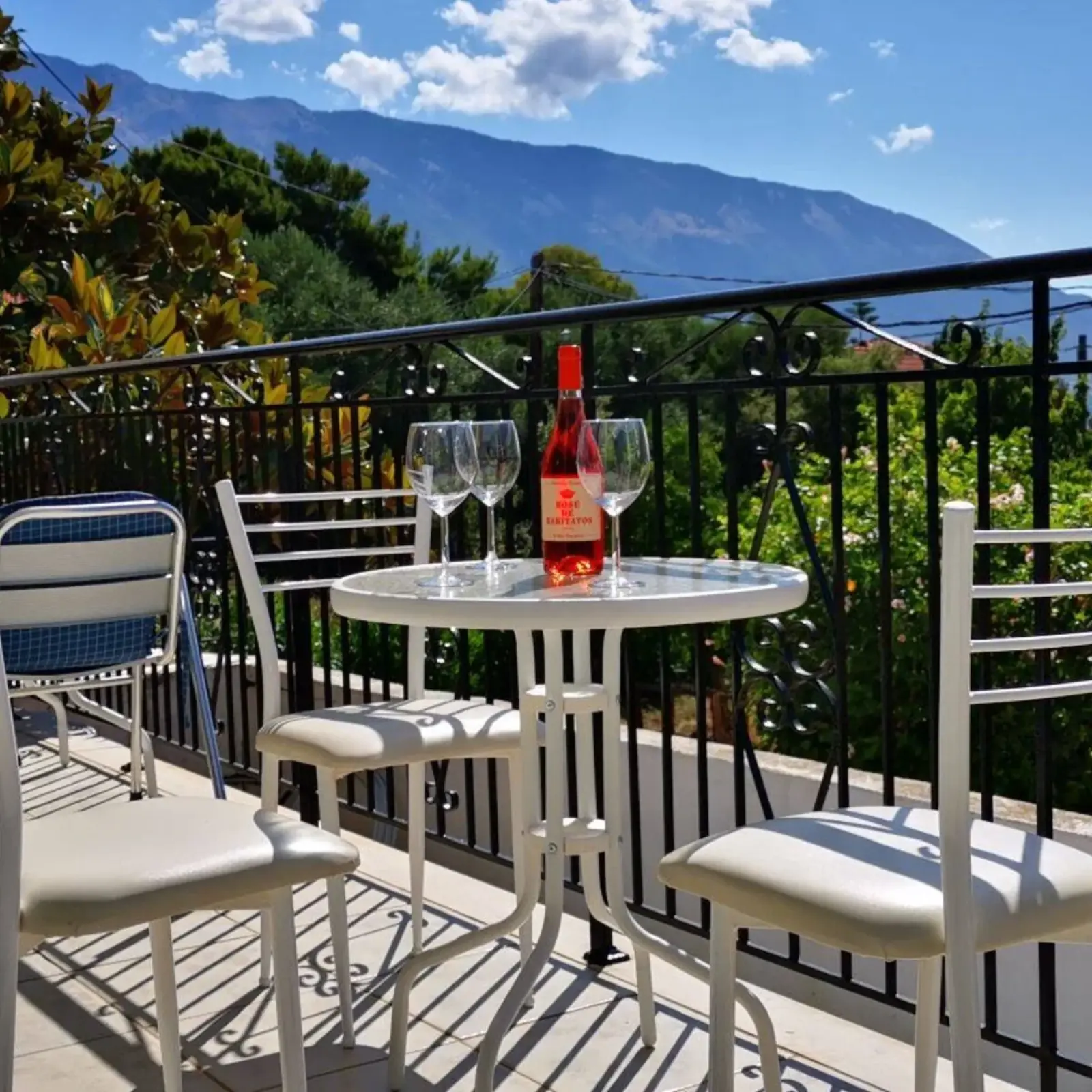 Terrace & garden